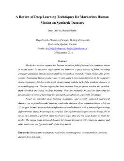 A Review of Deep Learning Techniques for Markerless Human Motion on
  Synthetic Datasets