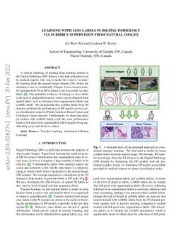 Learning with Less Labels in Digital Pathology via Scribble Supervision
  from Natural Images