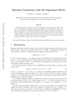 Bayesian Consistency with the Supremum Metric