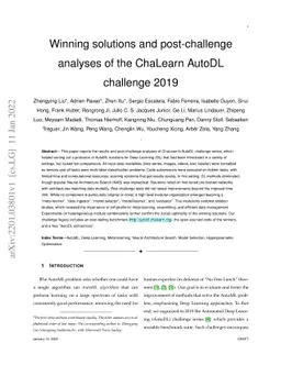 Winning solutions and post-challenge analyses of the ChaLearn AutoDL
  challenge 2019