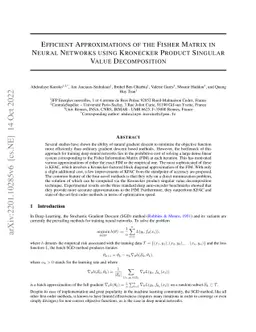 Efficient Approximations of the Fisher Matrix in Neural Networks using
  Kronecker Product Singular Value Decomposition