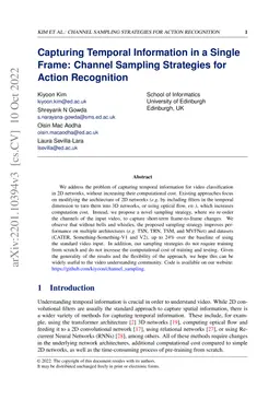 Capturing Temporal Information in a Single Frame: Channel Sampling
  Strategies for Action Recognition