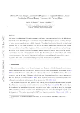 Beyond Visual Image: Automated Diagnosis of Pigmented Skin Lesions
  Combining Clinical Image Features with Patient Data