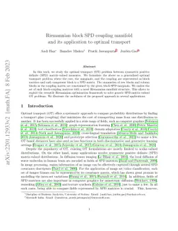 Riemannian block SPD coupling manifold and its application to optimal
  transport