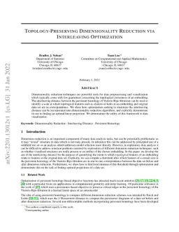 Topology-Preserving Dimensionality Reduction via Interleaving
  Optimization