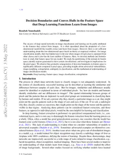 Decision boundaries and convex hulls in the feature space that deep
  learning functions learn from images