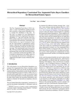 Hierarchical Dependency Constrained Tree Augmented Naive Bayes
  Classifiers for Hierarchical Feature Spaces