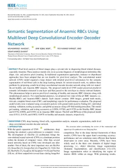 Semantic Segmentation of Anaemic RBCs Using Multilevel Deep
  Convolutional Encoder-Decoder Network