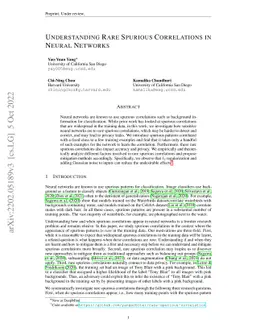 Understanding Rare Spurious Correlations in Neural Networks