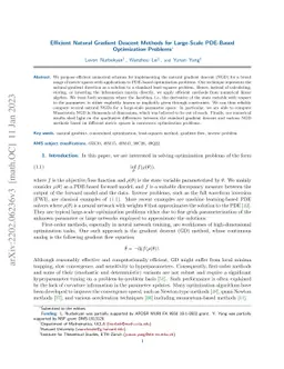 Efficient Natural Gradient Descent Methods for Large-Scale PDE-Based
  Optimization Problems