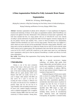 A Data Augmentation Method for Fully Automatic Brain Tumor Segmentation