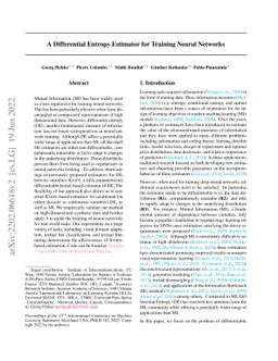 A Differential Entropy Estimator for Training Neural Networks