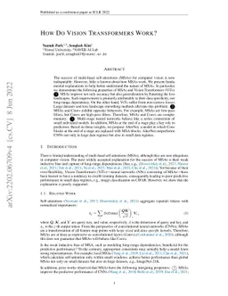 How Do Vision Transformers Work?