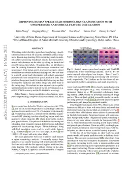 Improving Human Sperm Head Morphology Classification with Unsupervised
  Anatomical Feature Distillation