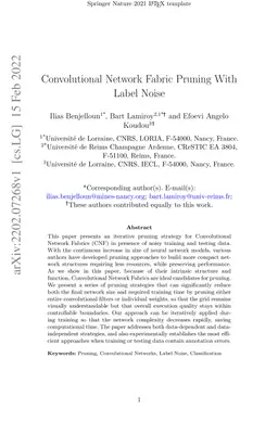 Convolutional Network Fabric Pruning With Label Noise
