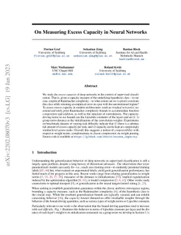 On Measuring Excess Capacity in Neural Networks