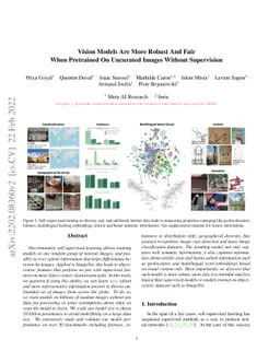 Vision Models Are More Robust And Fair When Pretrained On Uncurated
  Images Without Supervision