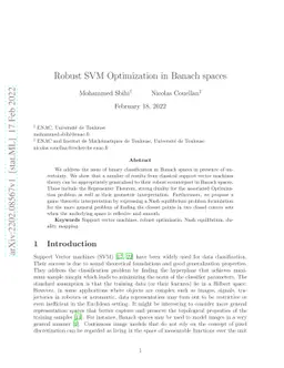 Robust SVM Optimization in Banach spaces