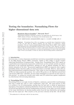 Testing the boundaries: Normalizing Flows for higher dimensional data
  sets