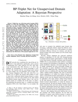 BP-Triplet Net for Unsupervised Domain Adaptation: A Bayesian
  Perspective