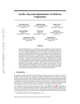 SnAKe: Bayesian Optimization with Pathwise Exploration