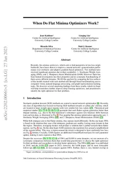 When Do Flat Minima Optimizers Work?