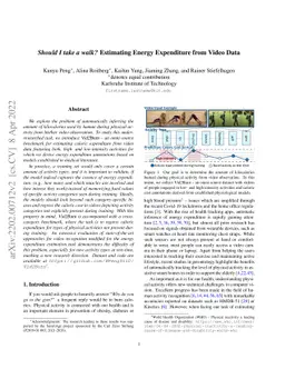 Should I take a walk? Estimating Energy Expenditure from Video Data