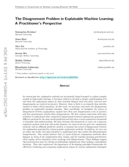 The Disagreement Problem in Explainable Machine Learning: A Practitioner's Perspective