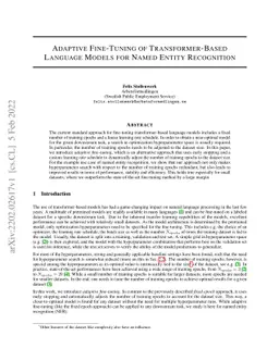 Adaptive Fine-Tuning of Transformer-Based Language Models for Named
  Entity Recognition