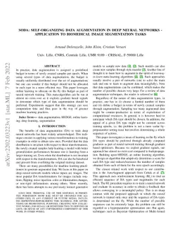 SODA: Self-organizing data augmentation in deep neural networks --
  Application to biomedical image segmentation tasks