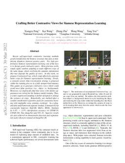 Crafting Better Contrastive Views for Siamese Representation Learning