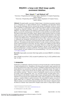 BIQ2021: A Large-Scale Blind Image Quality Assessment Database
