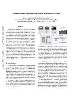 Learning Semantic Segmentation from Multiple Datasets with Label Shifts