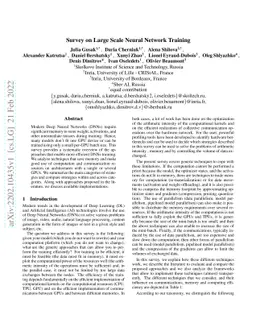 Survey on Large Scale Neural Network Training