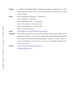 Explanatory Paradigms in Neural Networks