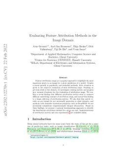 Evaluating Feature Attribution Methods in the Image Domain