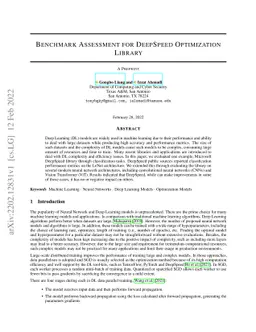 Benchmark Assessment for DeepSpeed Optimization Library