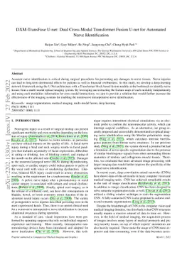 DXM-TransFuse U-net: Dual Cross-Modal Transformer Fusion U-net for
  Automated Nerve Identification