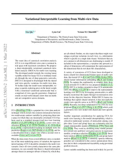 Variational Interpretable Learning from Multi-view Data