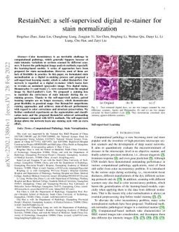 RestainNet: a self-supervised digital re-stainer for stain normalization