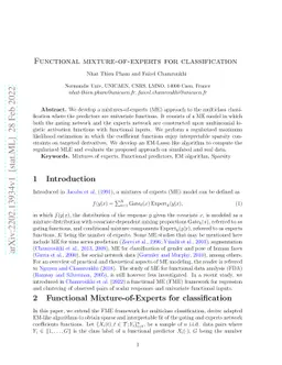 Functional mixture-of-experts for classification