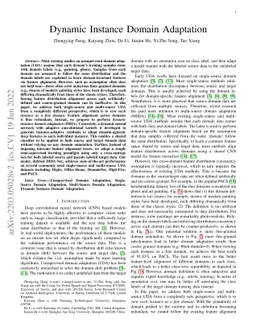Dynamic Instance Domain Adaptation