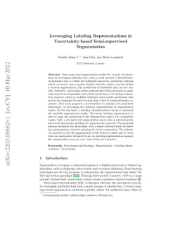 Leveraging Labeling Representations in Uncertainty-based Semi-supervised
  Segmentation
