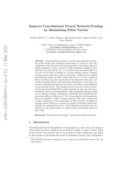 Improve Convolutional Neural Network Pruning by Maximizing Filter
  Variety