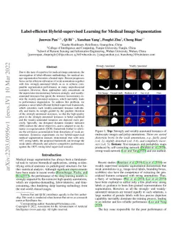 Label-efficient Hybrid-supervised Learning for Medical Image
  Segmentation