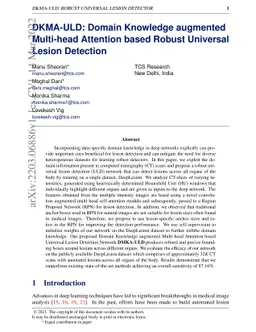 DKMA-ULD: Domain Knowledge augmented Multi-head Attention based Robust
  Universal Lesion Detection