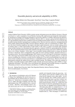 Ensemble plasticity and network adaptability in SNNs