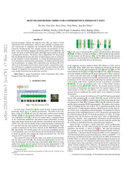 Deep Transformers Thirst for Comprehensive-Frequency Data