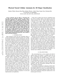 Physical Neural Cellular Automata for 2D Shape Classification
