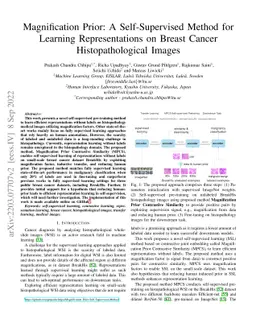 Magnification Prior: A Self-Supervised Method for Learning
  Representations on Breast Cancer Histopathological Images
